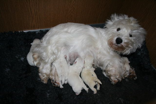 Chrissy mit ihrer kleinen Familie