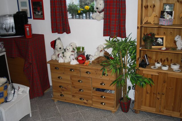 Halsbänder und Zubehör