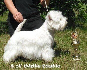 Lilly in Saarbrücken 2010