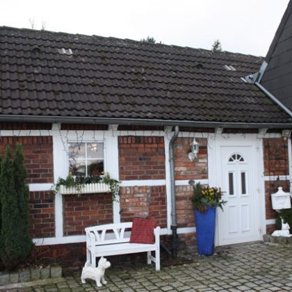 Das Haus mit der Trimmboutique, 2011